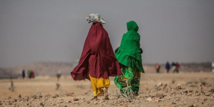 900 milyon yoksul iklim krizinin doğrudan etkisi altında