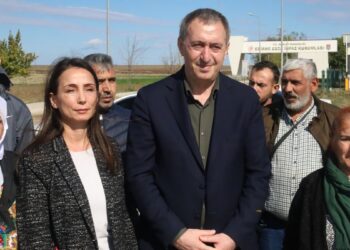 DEM Parti Eş Genel Başkanları: Önemli bir adım AİHM kararlarının hayata geçmesi