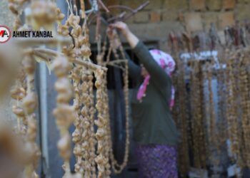 Mêrdîn’de buruk bağbozumu: Verim düşük, maliyet yüksek
