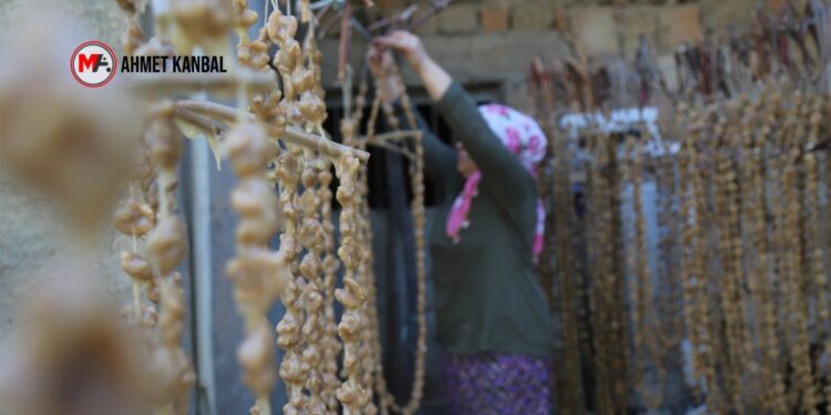 Mêrdîn’de buruk bağbozumu: Verim düşük, maliyet yüksek