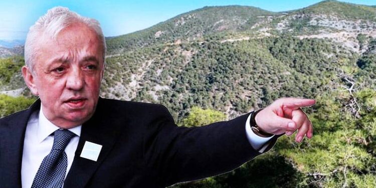 Cengiz Holding'in siyanürlü altın madenine onay çıktı; 57 bin ağaç kesilecek