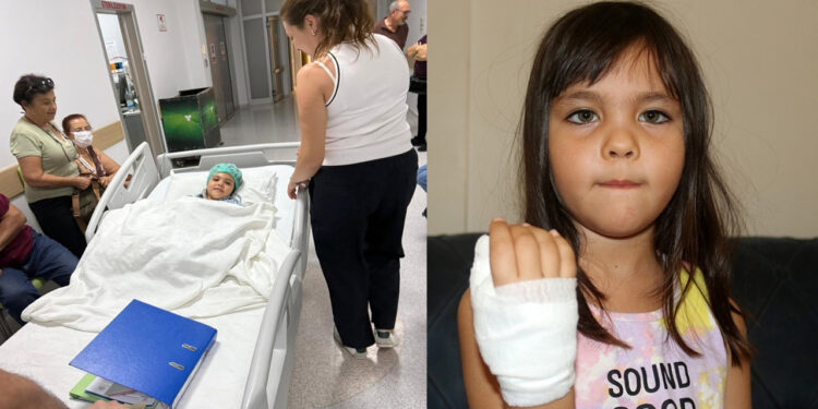 4 Yaşındaki Mavi'nin Parmağı Okulda Koptu! Yönetimin Akılalmaz İhmalleri...