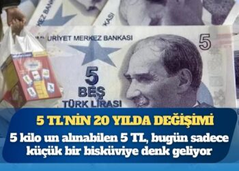 5 TL’nin 20 yılda değişimi: 2005’te poşet dolduruyordu