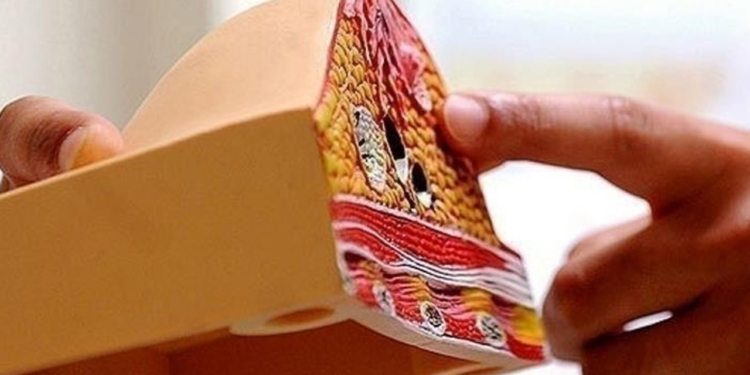 Akciğer Kanserinden Sonra En Yaygın Olan Türe Dikkat! Az da Olsa Erkeklerde de Görülüyor