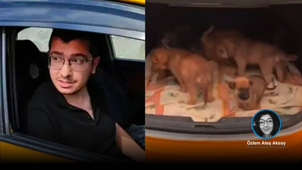 Ankara'da köpekleri evinde katledip istismar eden doktor Muhammet Mustafa Duman'a 9 yıl 9 ay hapis!