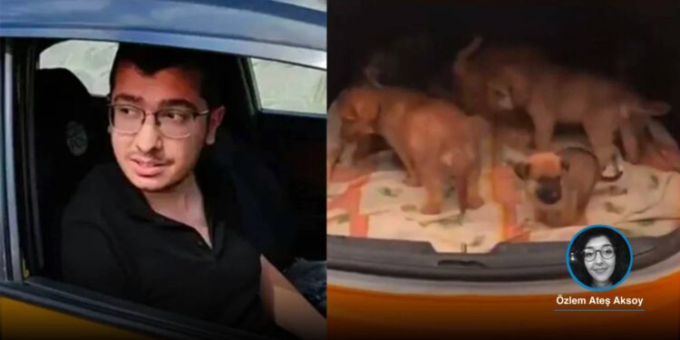 Ankara'da köpekleri evinde katledip istismar eden doktor Muhammet Mustafa Duman'a 9 yıl 9 ay hapis!