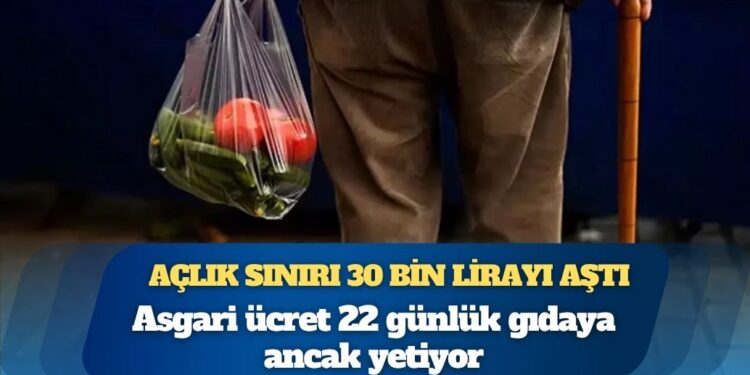 Açlık sınırı 30 bin lirayı aştı: Asgari ücret 22 günlük gıdaya ancak yetiyor