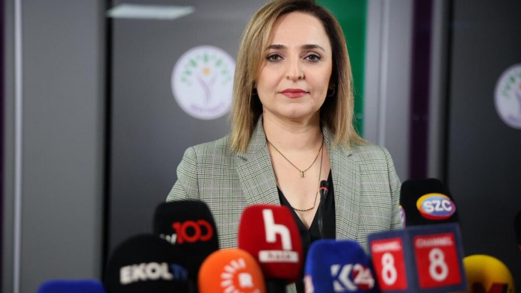 Ayşegül Doğan: Süreç kritik bir aşamada