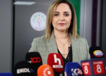 Ayşegül Doğan: Süreç kritik bir aşamada