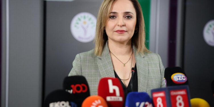 Ayşegül Doğan: Süreç kritik bir aşamada