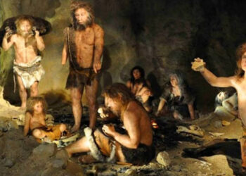 Ayvalık'ta İnsanlık Tarihini Değiştiren Keşif