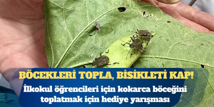 Bakanlık’tan çocuklara skandal kampanya: Böcekleri topla, bisikleti kap!