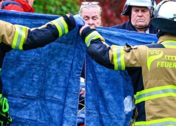 Bıçaklanan Alman belediye başkanı: Fail kızım