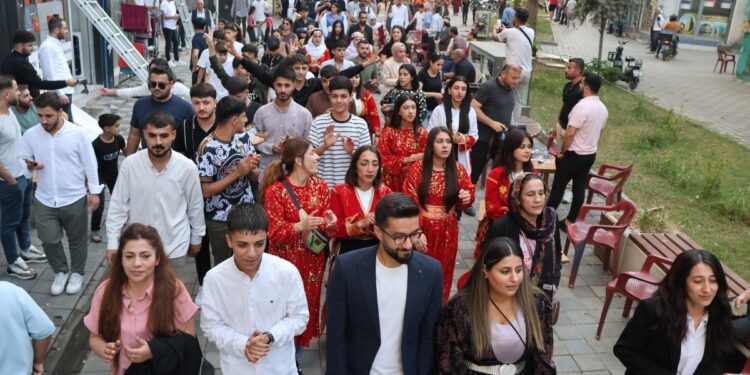 Cizîr 1. Kadın Govend Festivali'ne çağrı ziyareti yürüyüşe döndü