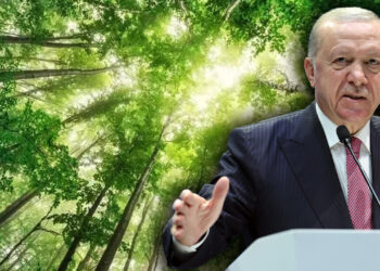 Cumhurbaşkanı Erdoğan Duyurdu! Seferberlik Başlıyor