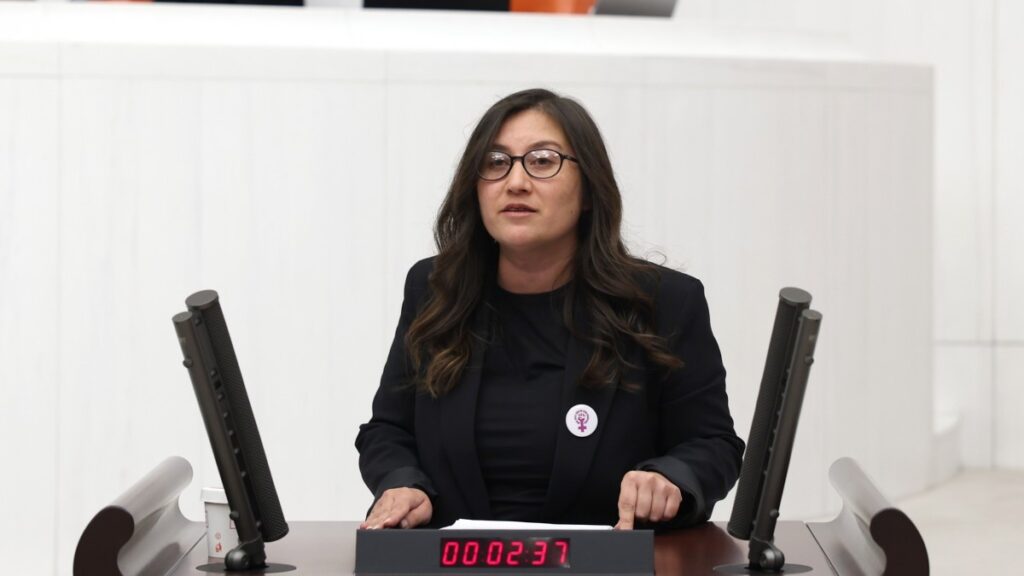 DEM Parti’den önerge: Kamu görevlilerinin sorumluluğu açığa çıkartılsın