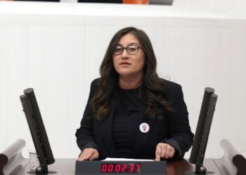 DEM Parti’den önerge: Kamu görevlilerinin sorumluluğu açığa çıkartılsın
