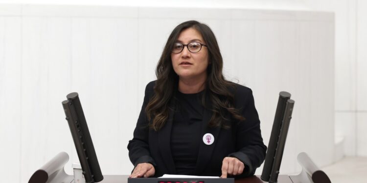 DEM Parti’den önerge: Kamu görevlilerinin sorumluluğu açığa çıkartılsın