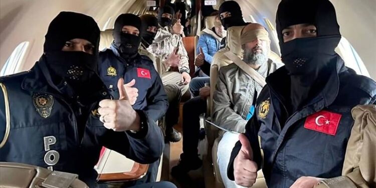 Daltonların İstanbul’da çok fazla hücre evi var!