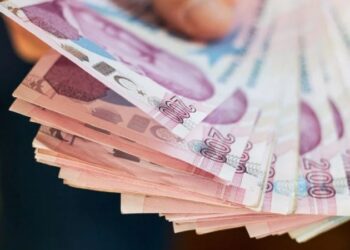 Evde Bakım Yardımı, hesaplara yatırılmaya başlandı