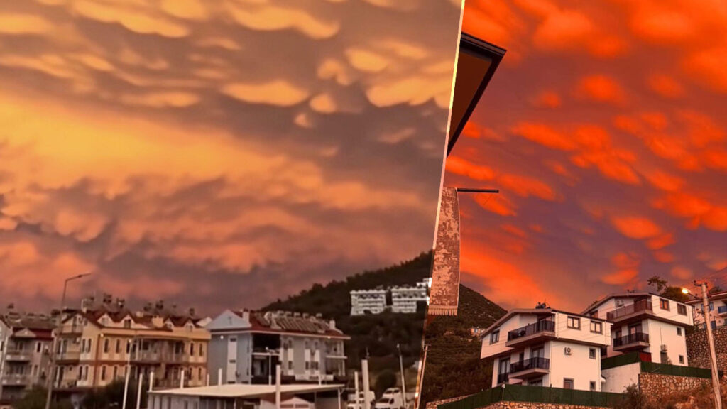 Fethiye'de Görsel Şölen! Gökyüzüne Bakan Telefonuna Sarıldı