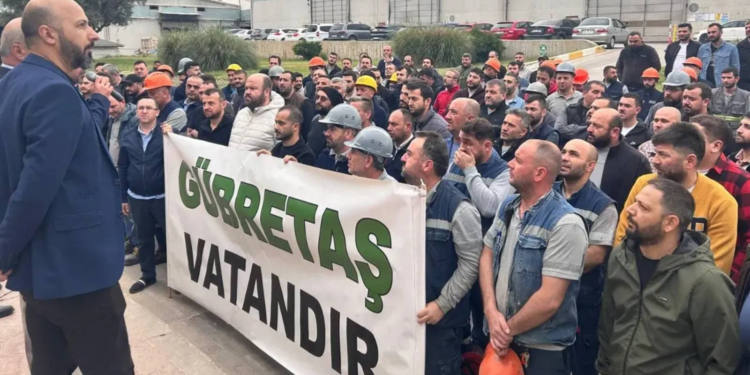 Gübretaş grevi devam ederken Tarım Kredi Holding’de yönetim ödemeleri ve yeni atamalar iddiası