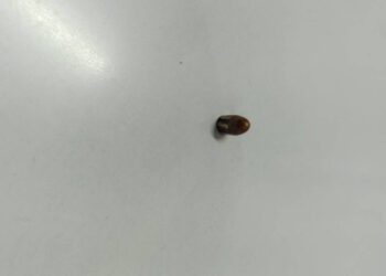 İş Yerine Yorgun Mermi İsabet Etti