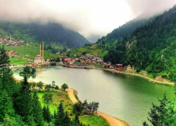 Karadeniz'deki Sinsi Tehlike! Uzman İsim Tek Tek Anlattı, Bu Belirtilere Dikkat