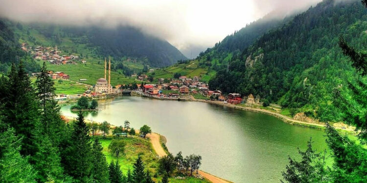 Karadeniz'deki Sinsi Tehlike! Uzman İsim Tek Tek Anlattı, Bu Belirtilere Dikkat