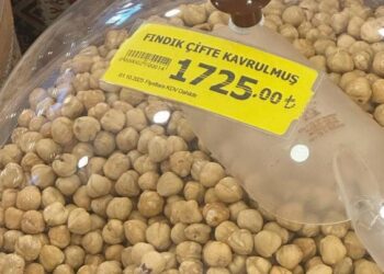 Kavrulmuş fındığın kilosu stratejik maden tungstenle aynı fiyata ulaştı