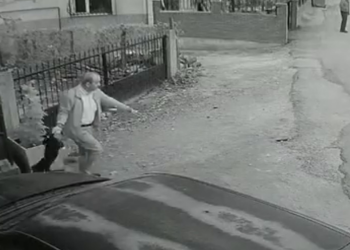 Kocaeli’de Yavru Köpeğe Kan Donduran İşkence! Kuyruğundan Tutup Yere Fırlattı, Acı Çığlıkları Yürek Yaktı