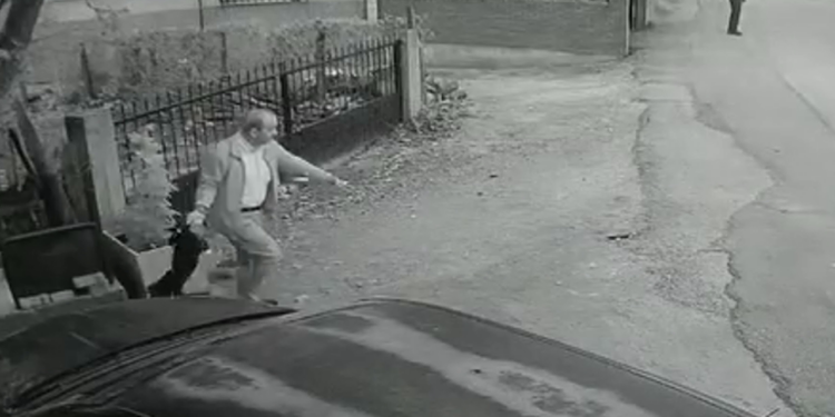 Kocaeli’de Yavru Köpeğe Kan Donduran İşkence! Kuyruğundan Tutup Yere Fırlattı, Acı Çığlıkları Yürek Yaktı