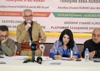 'Kürtçeye statü tanınmadığı sürece ne barış gelir ne de huzur'