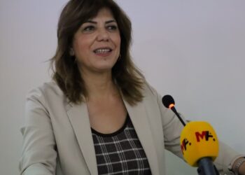 Meral Danış Beştaş: Hukuk olmadan barış da demokrasi de inşa edilemez