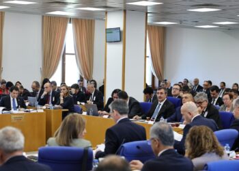 Meral Danış Beştaş: Temel ihtiyaçlar karşılanamazken milyonlar savunmaya harcanıyor