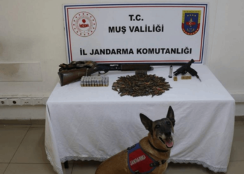 Muş'ta Tezek Yığınından Mühimmat Deposu Çıktı