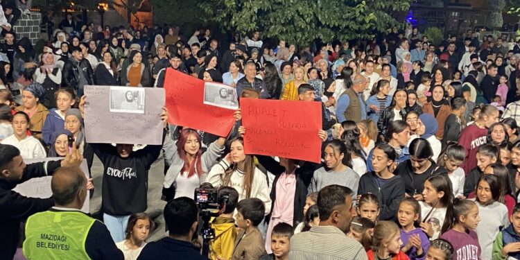 Şemrex'teki şölende Rojin Kabaiş için adalet istendi