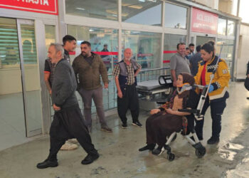 Tarım İşçilerini Taşıyan Araç Devrildi! 1'i Çocuk, 11 Yaralı