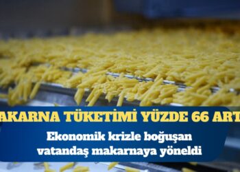 Ekonomik krizle boğuşan vatandaş makarnaya yöneldi: Türkiye’de makarna tüketimi yüzde 66 arttı
