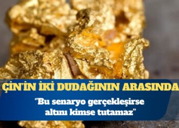 İktisatçı Mahfi Eğilmez: Bu senaryo gerçekleşirse altını kimse tutamaz