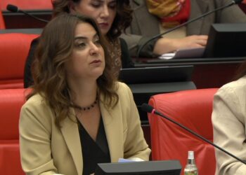 ‘Barış ve Demokratik Toplum Çağrısı komployu boşa çıkardı’