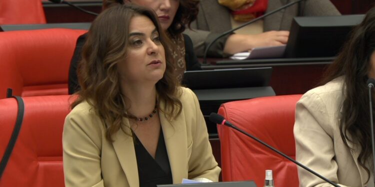 ‘Barış ve Demokratik Toplum Çağrısı komployu boşa çıkardı’