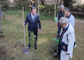 11 Kasım’da Tarihi Rekor: 14,9 Milyon Fidan Toprakla Buluştu