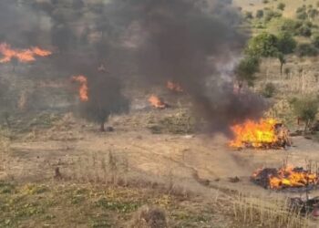 Nijerya’da DAİŞ ve Boko Haram çatışması: 200 ölü