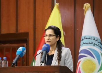 İlham Ehmed: Demokratik ve ademi merkeziyetçi bir sistem kurulmalı