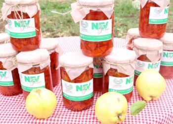 Nev Bahçe’de toplanan ayvalar reçele dönüştü