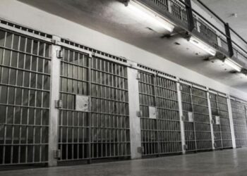 Tutsak Birkan: Sürecin başlamasıyla baskılar arttı