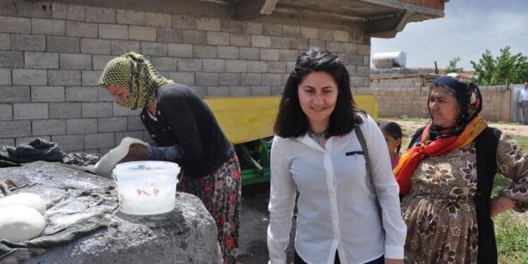 İmralı’ya sevk talebi ‘tahliye erteleme’ gerekçesi yapıldı