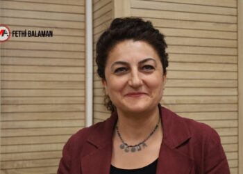 Dilan Mızrak: Devlet sürecin hukuki zeminini bir an önce oluşturmalı