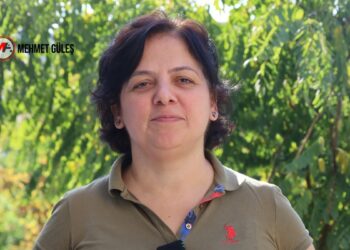 Barış Akademisyeni: Devlet sürece anayasal reformlarla karşılık vermeli